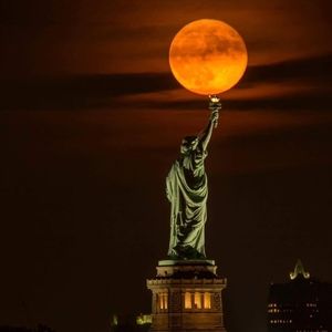 Meet your Posher, Larry